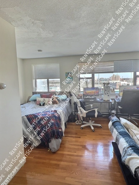 Studio Apartment for rent in Allston - Boston, Boston
