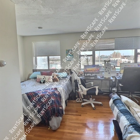 Studio Apartment for rent in Allston - Boston, Boston