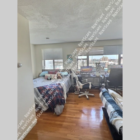 Studio Apartment for rent in Allston - Boston, Boston