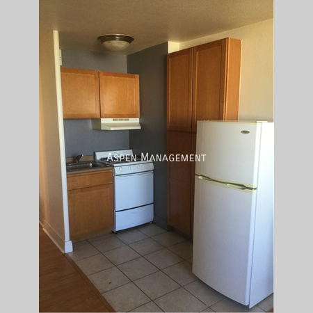 1 bedroom apartment for rent in Capitol Hill DEN - Center Denver, Denver