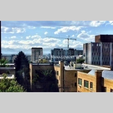 1 bedroom apartment for rent in Capitol Hill DEN - Center Denver, Denver