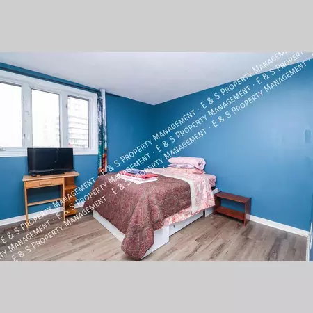 1 bedroom apartment for rent in Cyrville - East Ottawa, Ottawa