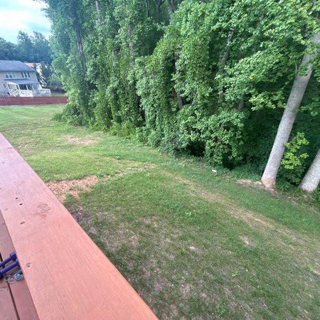 Coliving in Gastonia - West Charlotte, Charlotte