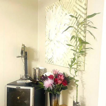 Coliving in Allandale - North Central Austin, Austin