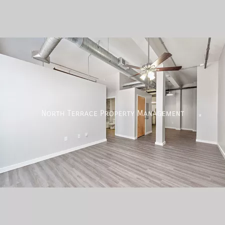 1 bedroom apartment for rent in Downtown Kansas City - KCMO, Kansas City