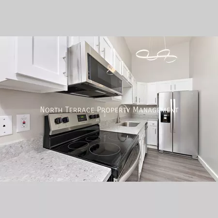 1 bedroom apartment for rent in Downtown Kansas City - KCMO, Kansas City
