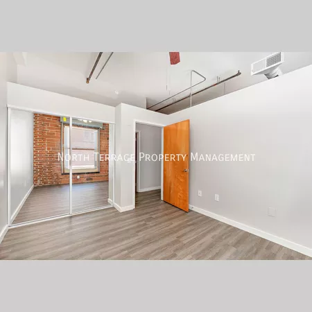 1 bedroom apartment for rent in Downtown Kansas City - KCMO, Kansas City