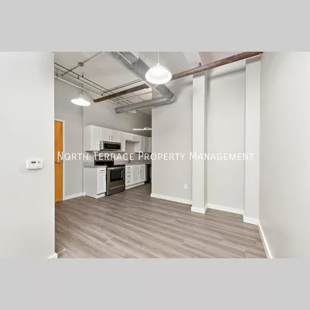 1 bedroom apartment for rent in Downtown Kansas City - KCMO, Kansas City