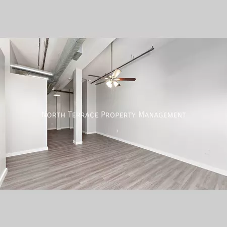 1 bedroom apartment for rent in Downtown Kansas City - KCMO, Kansas City