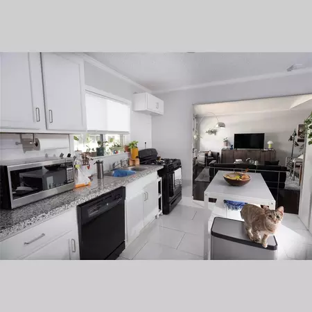 3 bedrooms apartment for rent in Independence Heights - Nw Houston, Houston