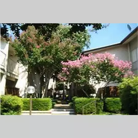 1 bedroom apartment for rent in Addison - Nw Dallas, Dallas