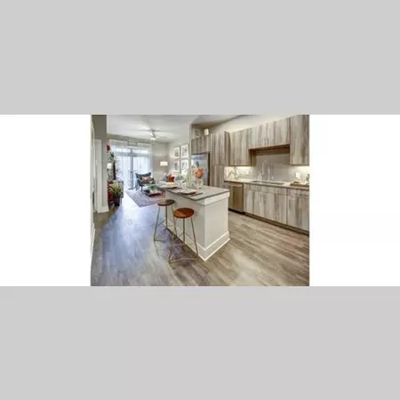 1 bedroom apartment for rent in East Riverside Oltorf - South Central Austin, Austin