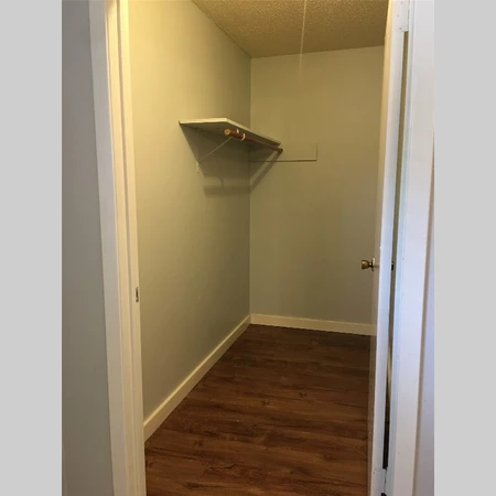 1 bedroom apartment for rent in North Loop - North Central Austin, Austin