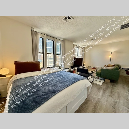 Studio Apartment for rent in Back Bay - Boston, Boston