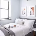 Coliving in Williamsburg - Brooklyn, New York