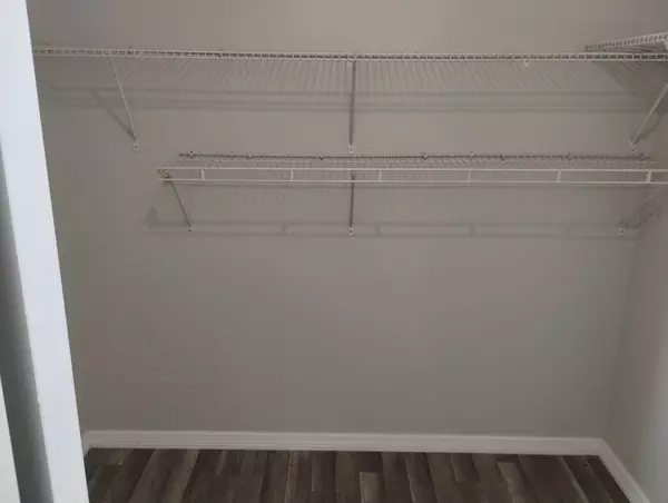 Coliving in Egypt Lake-Leto - North Tampa, Tampa