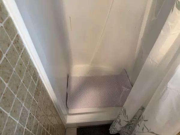 Coliving in Egypt Lake-Leto - North Tampa, Tampa