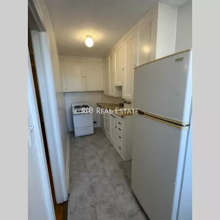Studio Apartment for rent in Cheesman - Center Denver, Denver