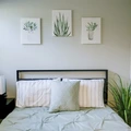 Coliving in Sulphur Springs - North Tampa, Tampa