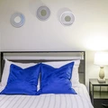 Coliving in Sulphur Springs - North Tampa, Tampa