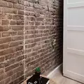 Coliving in Murray Hill - Manhattan, New York