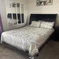 Coliving in Spring - Ne Houston, Houston
