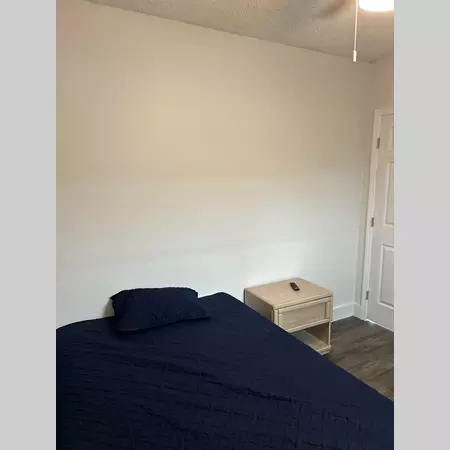 Coliving in Downtown St. Petersburg - Clearwater-St. Petersburg, Tampa