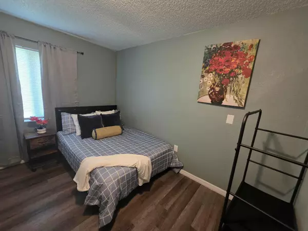 Coliving in Port Charlotte - North Port, Sarasota