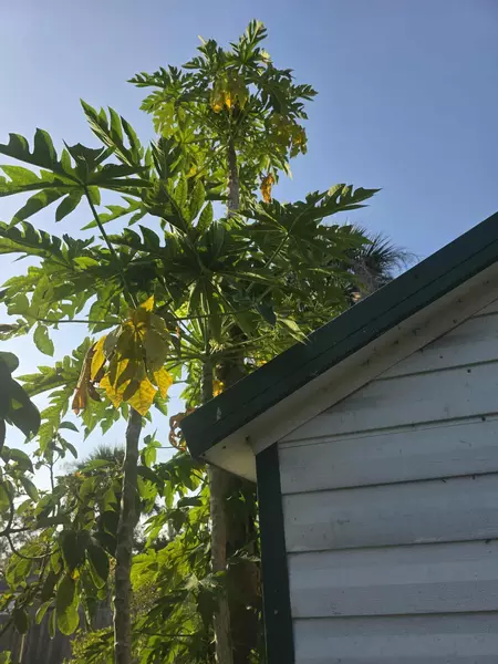 Coliving in Port Charlotte - North Port, Sarasota