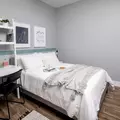 Coliving in Bedford Stuyvesant - Brooklyn, New York