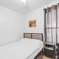 Coliving in Coliseum Willow Park - East SATX, San Antonio