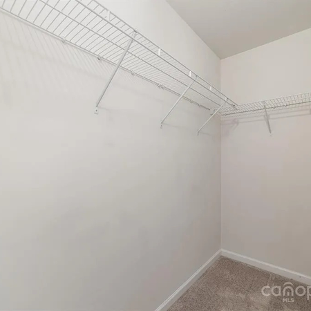 Coliving in Monroe - East Charlotte, Charlotte