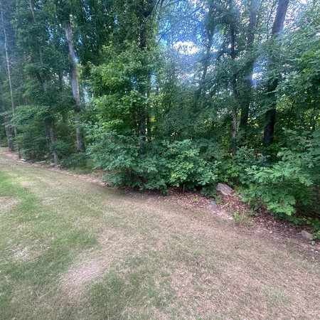 Coliving in Hope Valley - Durham, Raleigh