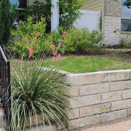 Coliving in Southeast Austin - South Austin, Austin