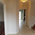 Coliving in Montclaire South - South Charlotte, Charlotte