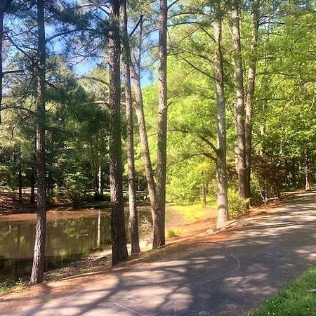 Coliving in Wade - Central Raleigh, Raleigh