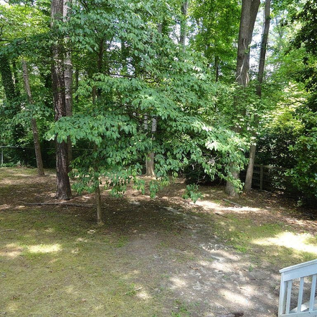 Coliving in Wade - Central Raleigh, Raleigh