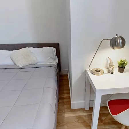 Coliving in Bedford Stuyvesant - Brooklyn, New York