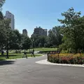 Coliving in Harlem - Manhattan, New York