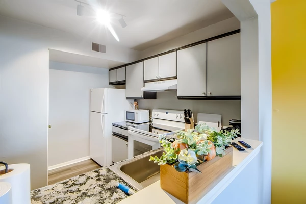 Coliving in Midtown Baltimore - Baltimore Metro Area, Washington DC