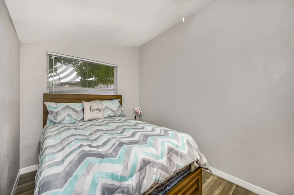 Coliving in Jungle Terrace - Clearwater-St. Petersburg, Tampa
