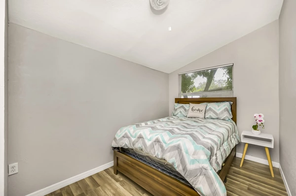 Coliving in Jungle Terrace - Clearwater-St. Petersburg, Tampa