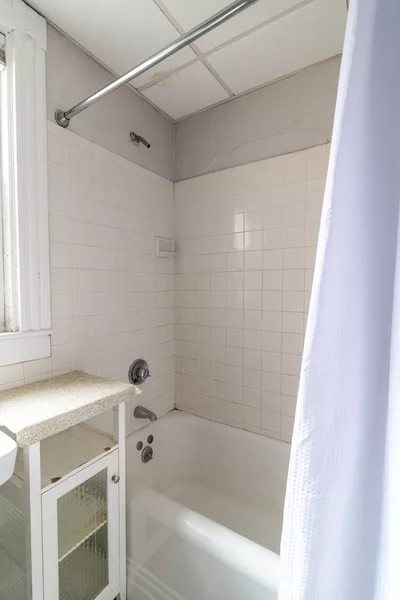 Coliving in Avon Hill - Cambridge, Boston
