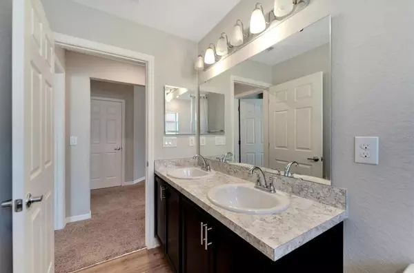Coliving in Sun City Center - South Tampa, Tampa