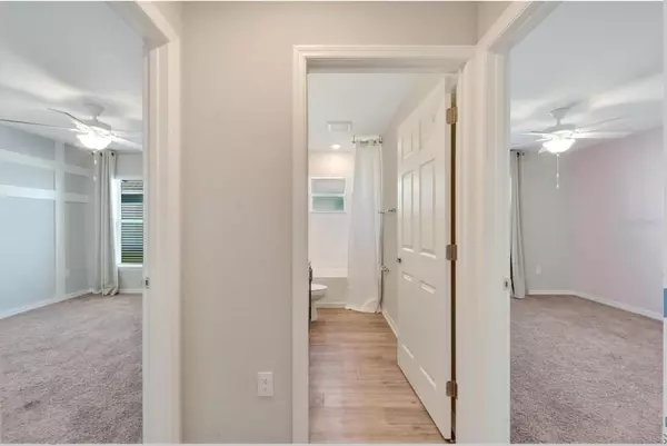 Coliving in Sun City Center - South Tampa, Tampa