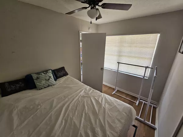 Coliving in Forest Hills Tampa - North Tampa, Tampa