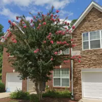 Coliving in Morrisville - Outer Triangle, Raleigh