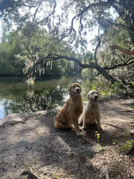 Coliving in Seminole Heights - North Tampa, Tampa