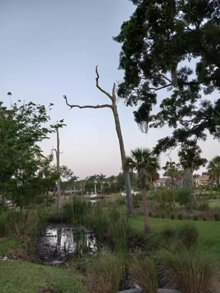 Coliving in Seminole Heights - North Tampa, Tampa