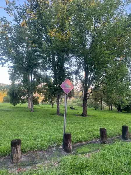 Coliving in Seminole Heights - North Tampa, Tampa